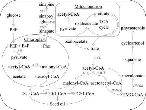 Fig. 2