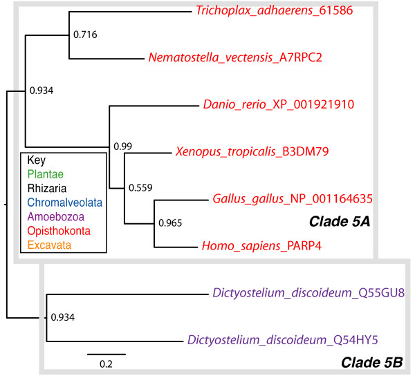 Figure 9