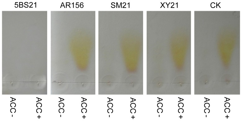 Figure 5