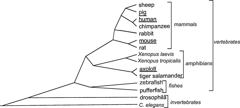 Figure. 1.