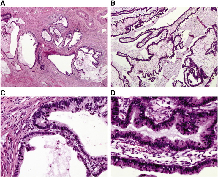 Fig. 1