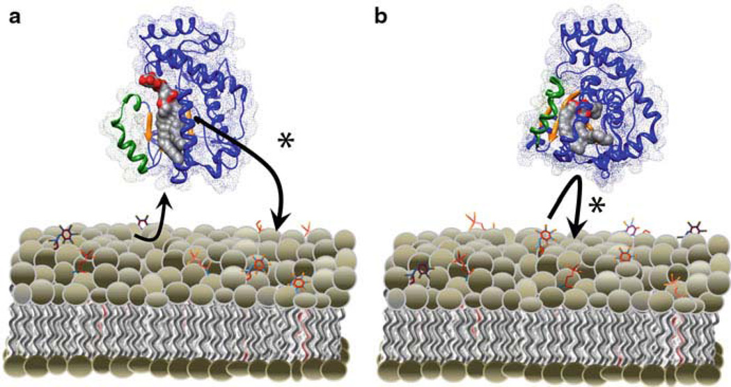 Fig. 9.3