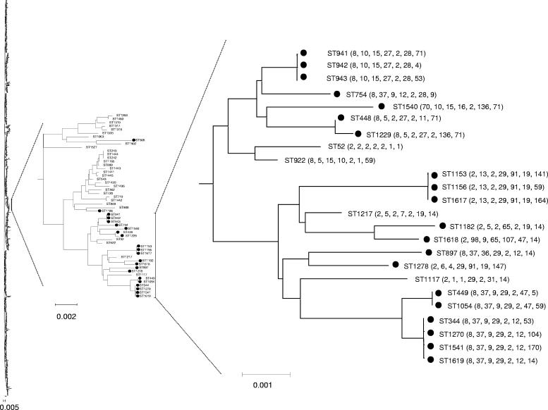 FIG. 2.