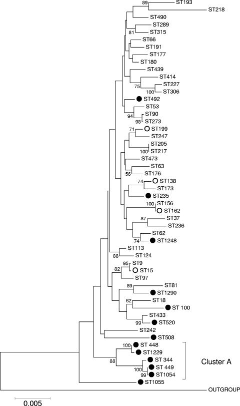 FIG. 1.