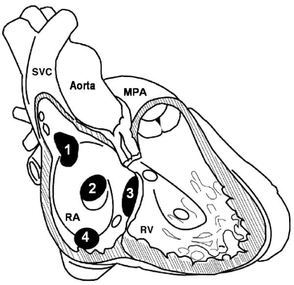 Figure 8