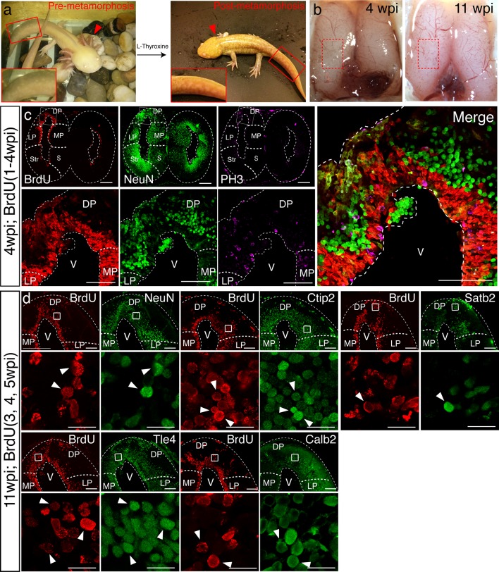 Figure 3—figure supplement 2.