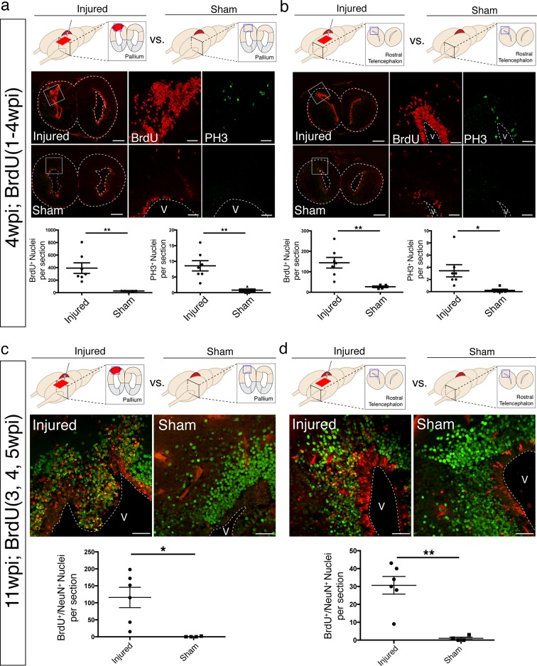 Figure 2—figure supplement 2.