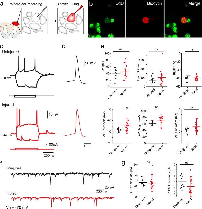 Figure 4.