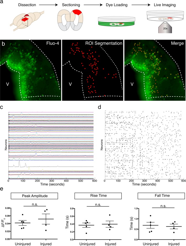 Figure 4—figure supplement 3.