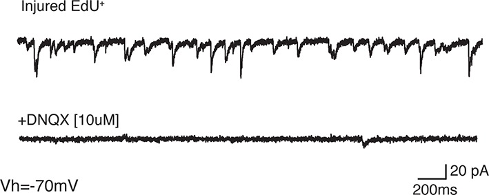 Figure 4—figure supplement 2.