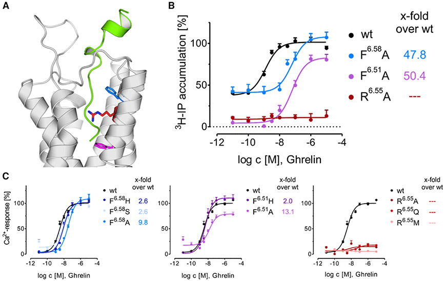 Figure 4.