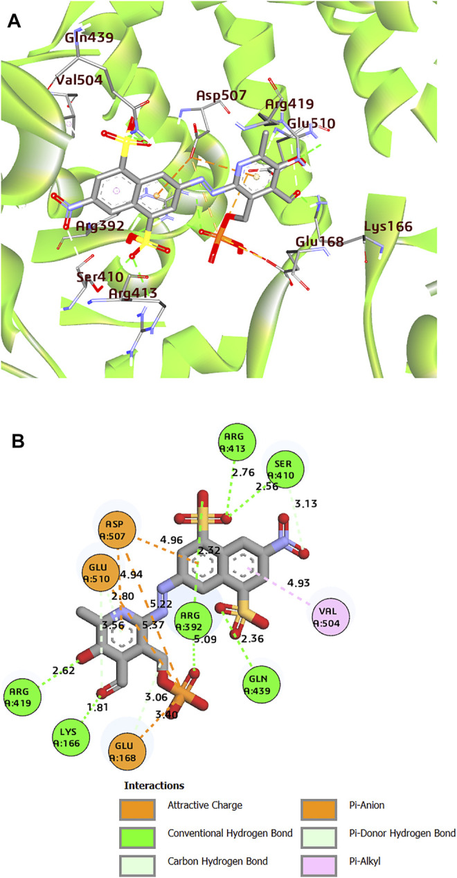 FIGURE 2