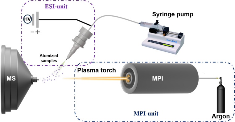 Fig. 1