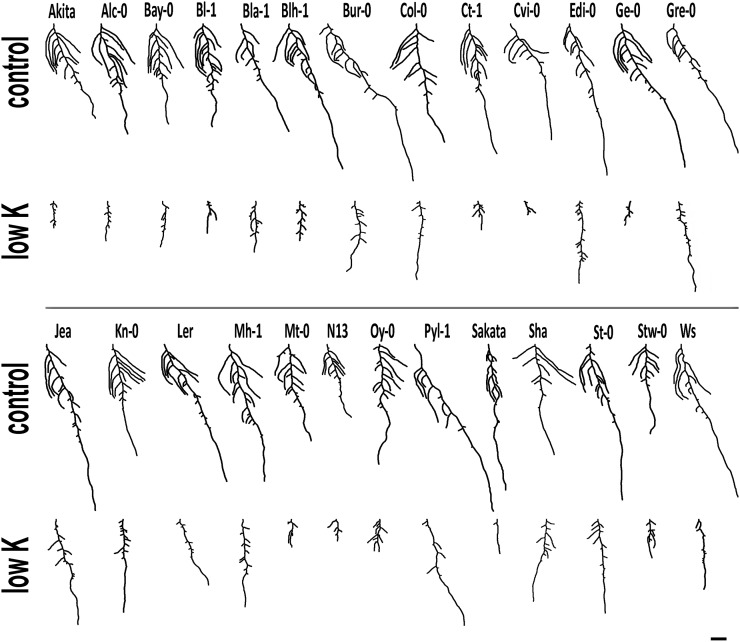 Figure 2.