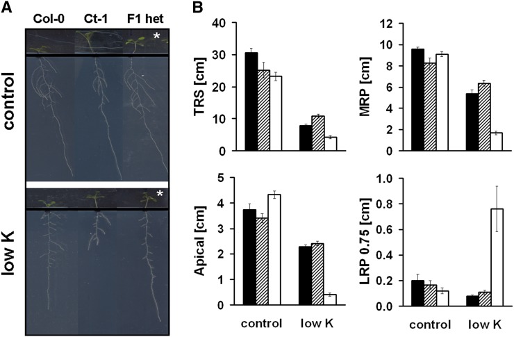 Figure 6.