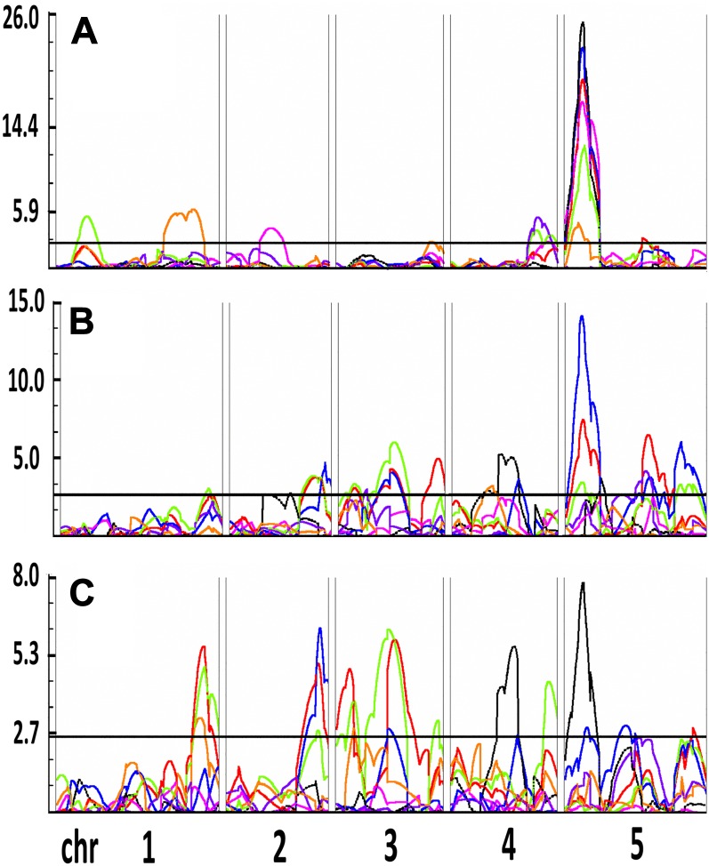 Figure 7.