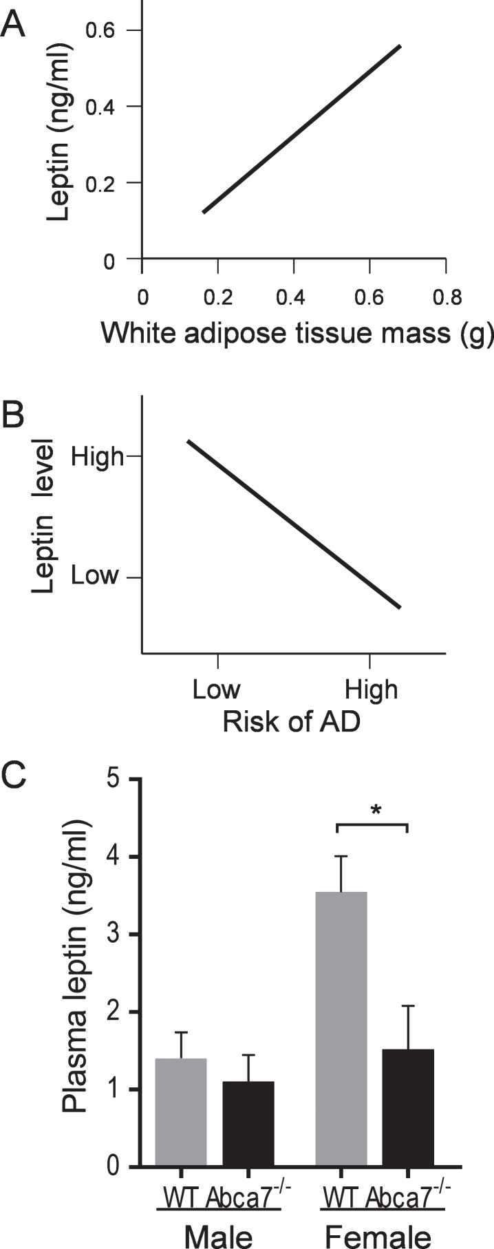 Fig.3