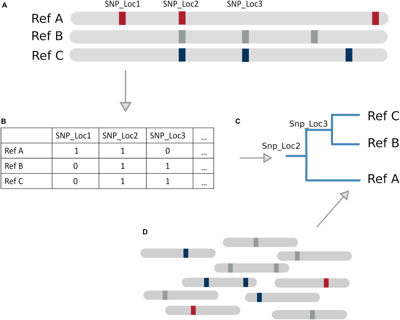 FIGURE 3