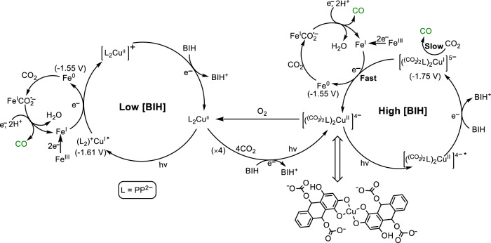 Fig. 8