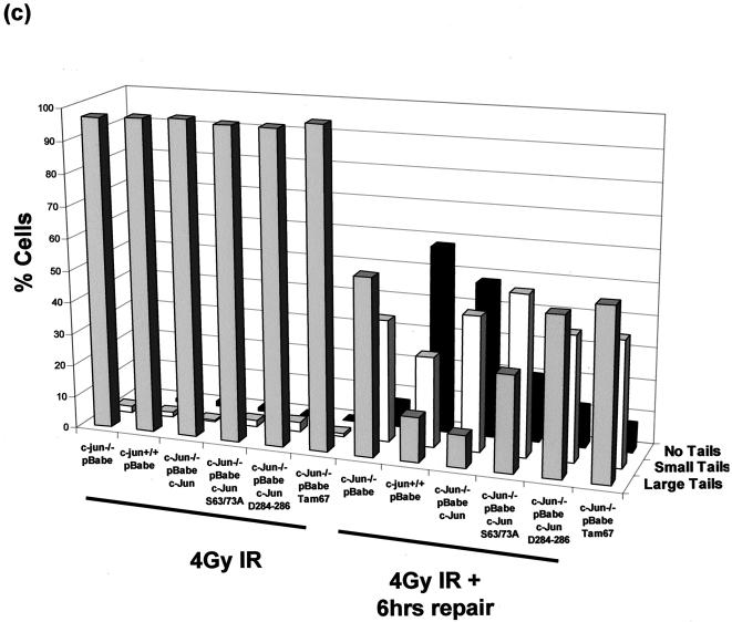 FIG. 6.