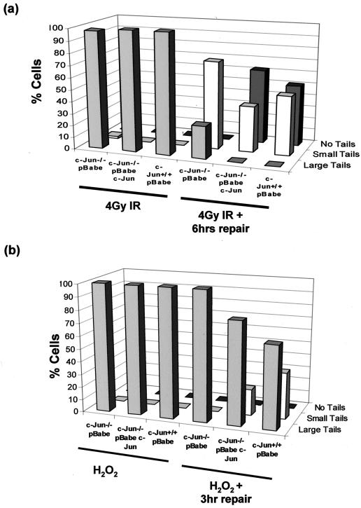 FIG. 5.