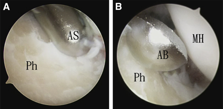 Fig 8