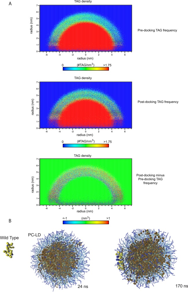 Figure 5—figure supplement 3.