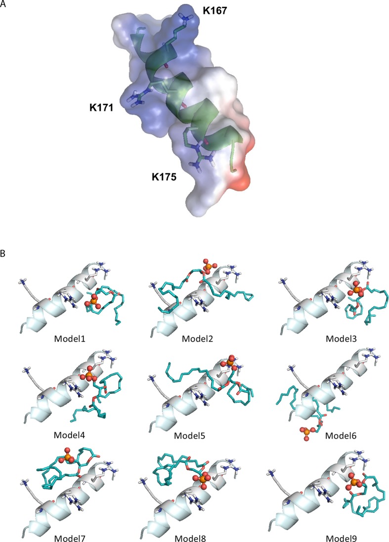 Figure 5—figure supplement 4.