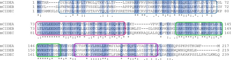 Figure 2—figure supplement 1.