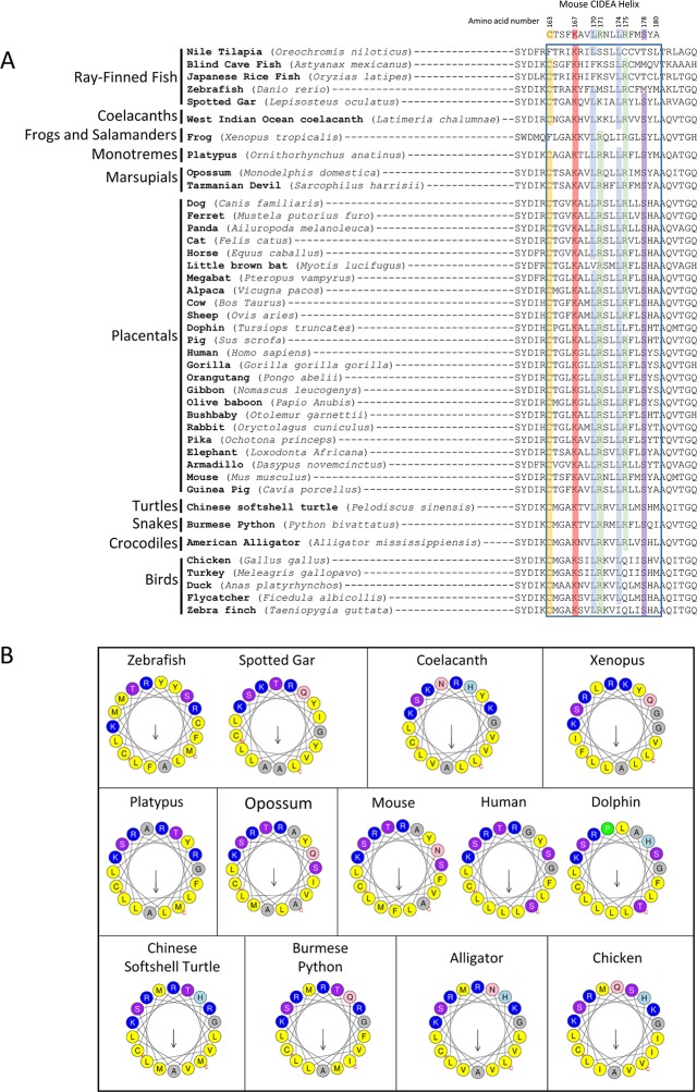 Figure 3—figure supplement 1.