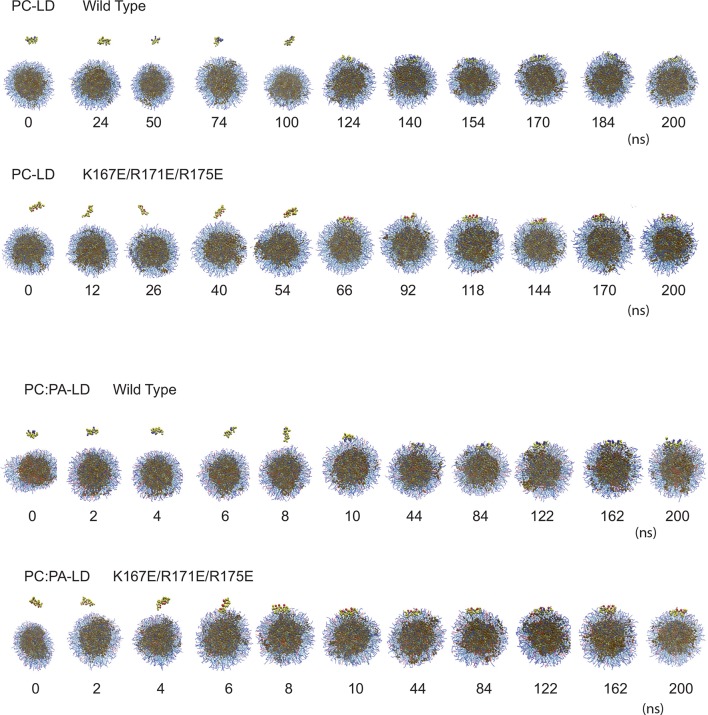 Figure 5—figure supplement 2.