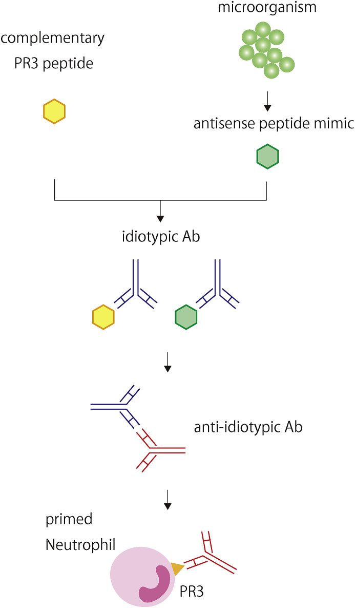 Fig. 2