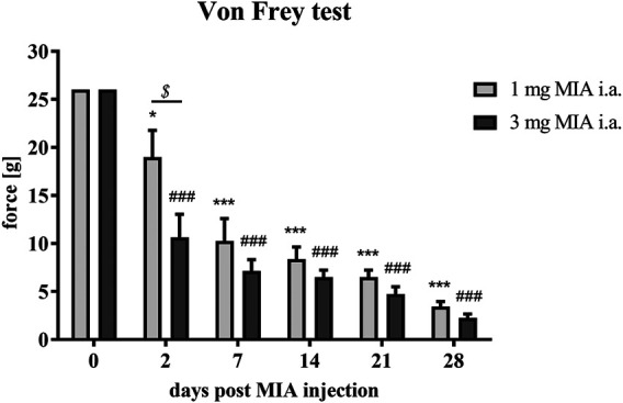 FIGURE 1