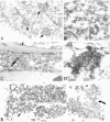 Figure 9.