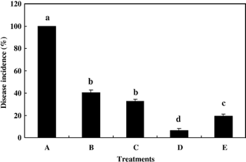 Figure 5.