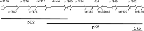 FIG. 5.