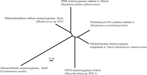 FIG. 6.