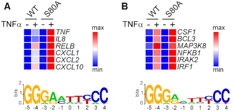 Figure 5.