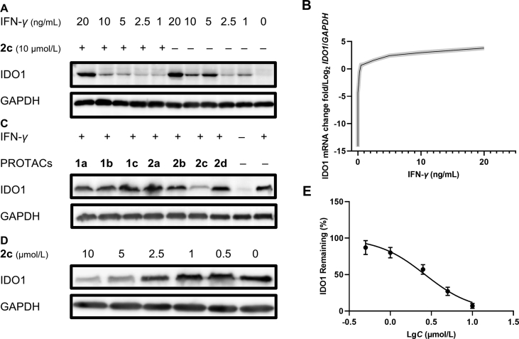 Figure 3