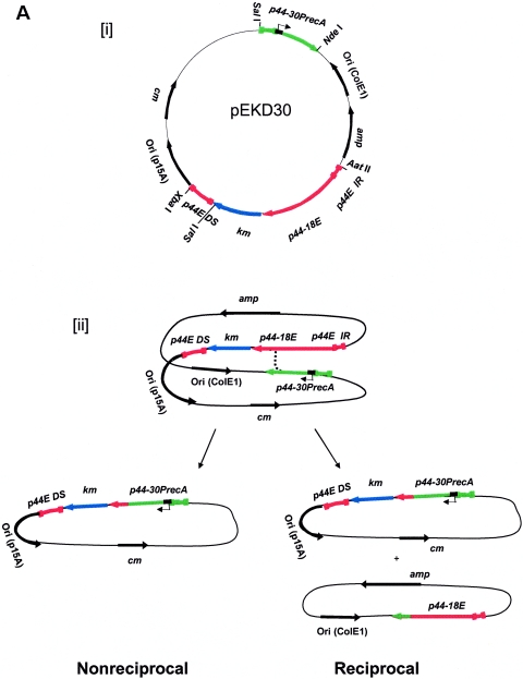 FIG.3.