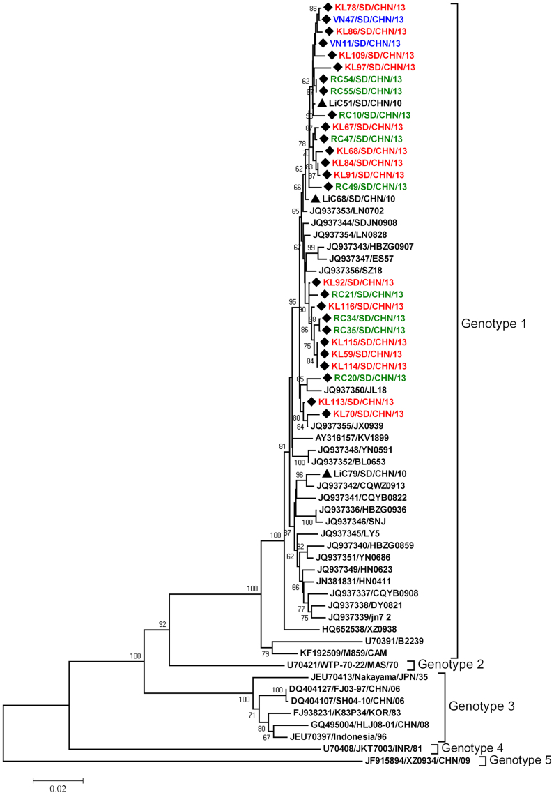 Figure 4