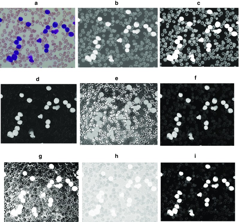 Fig. 3