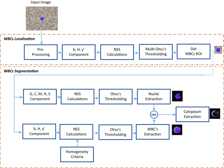 Fig. 2