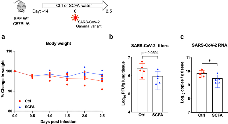 Fig 3.