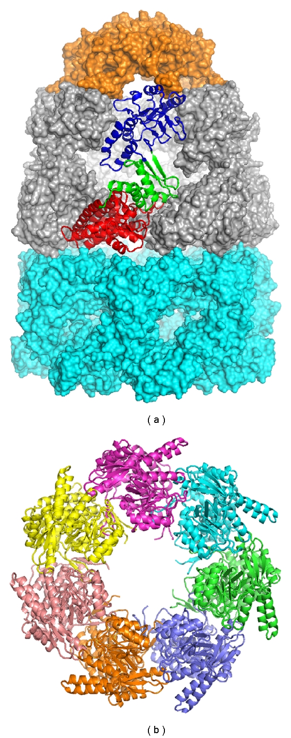 Figure 2