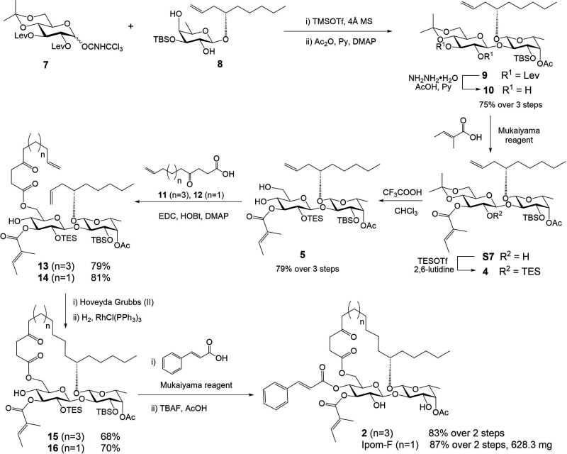 Scheme 1