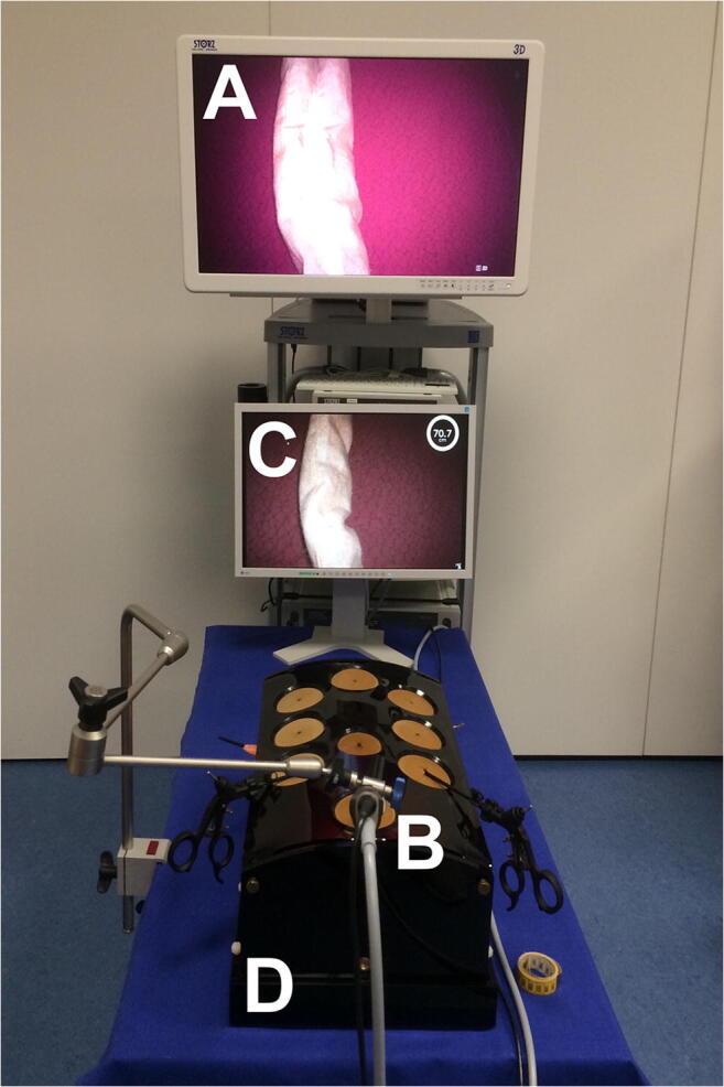 Fig. 3