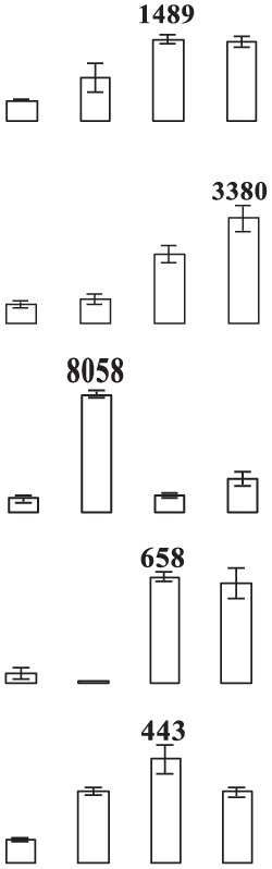 graphic file with name fpls-06-00845-i0008.jpg