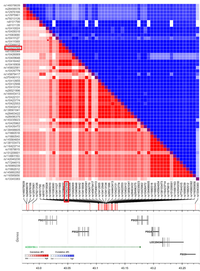 A locus at 19q13.31 significantly reduces the ApoE ε4 risk for Alzheimer's Disease in African Ancestry.