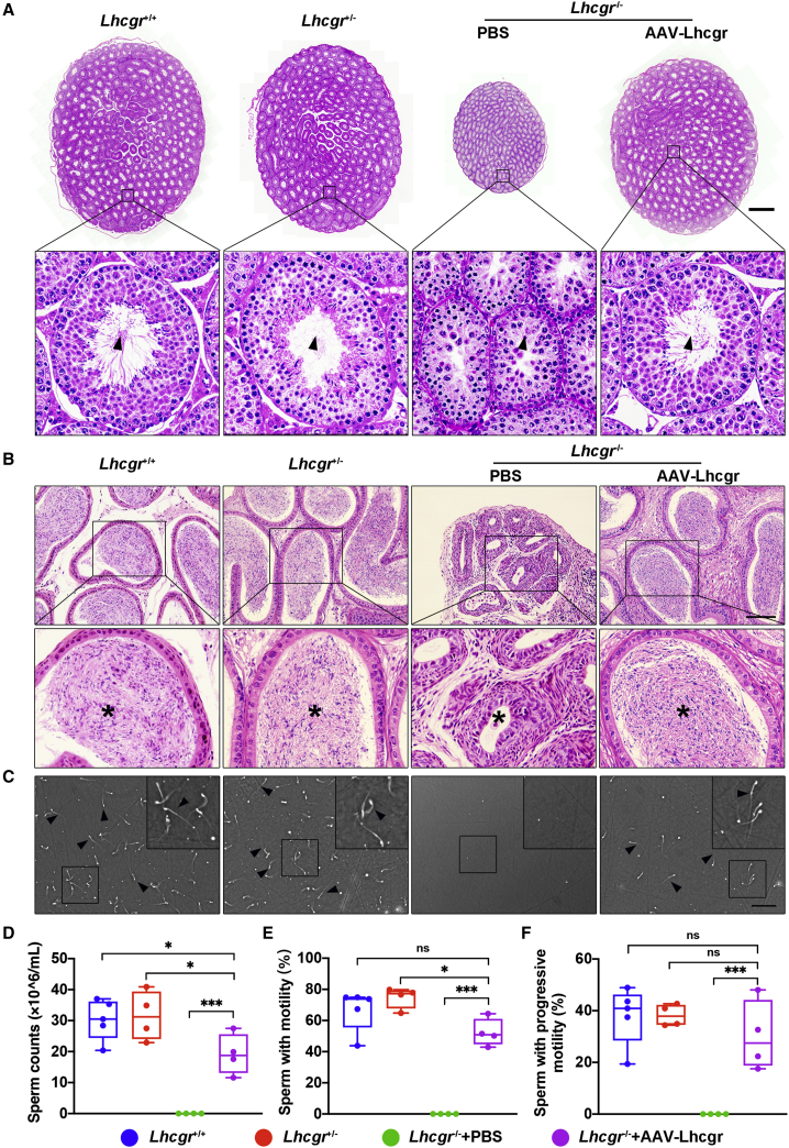 Figure 3